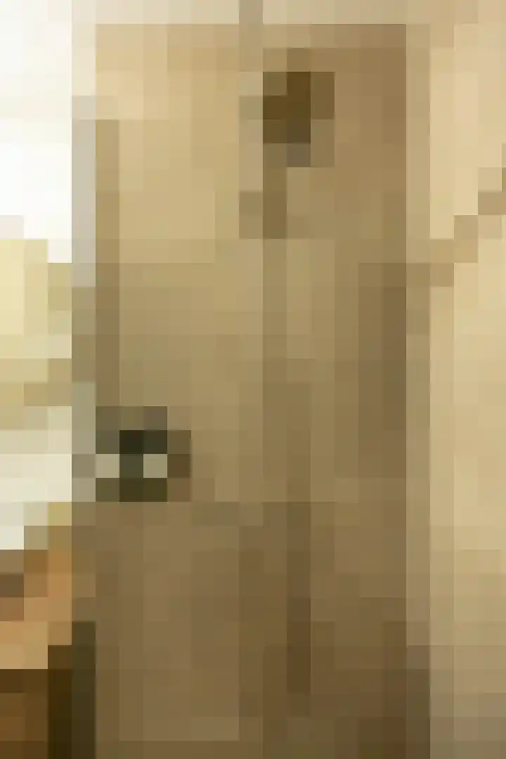 Sabotagelaan 72 Groningen thumbnail 25