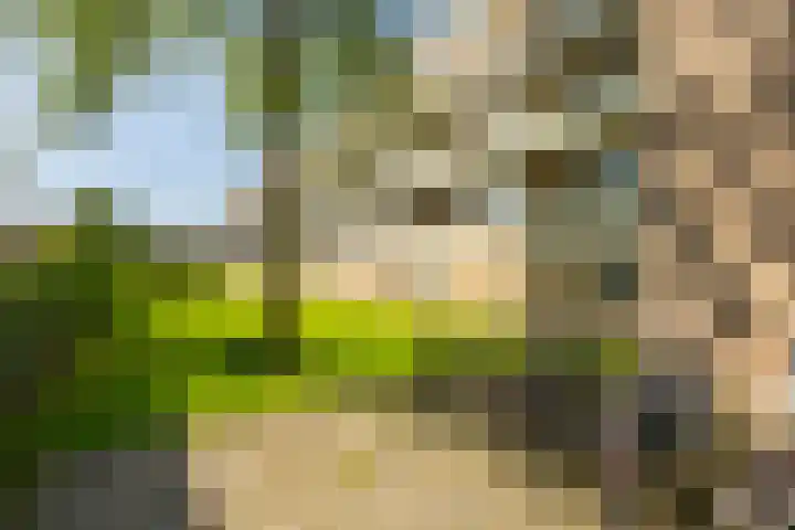 Sabotagelaan 72 Groningen thumbnail 28