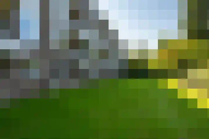 Sabotagelaan 72 Groningen thumbnail 29