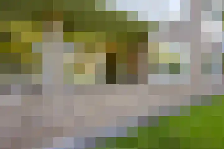 Sabotagelaan 72 Groningen thumbnail 30