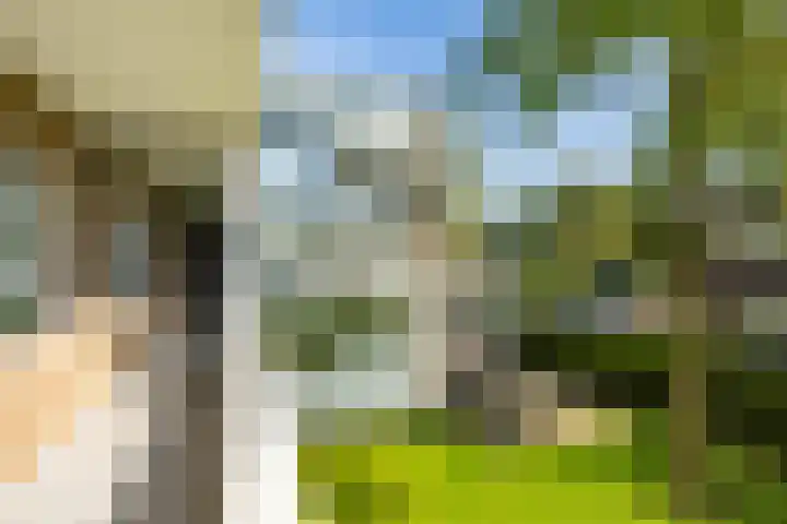 Sabotagelaan 72 Groningen thumbnail 5