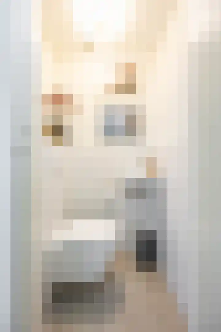Sabotagelaan 72 Groningen thumbnail 7