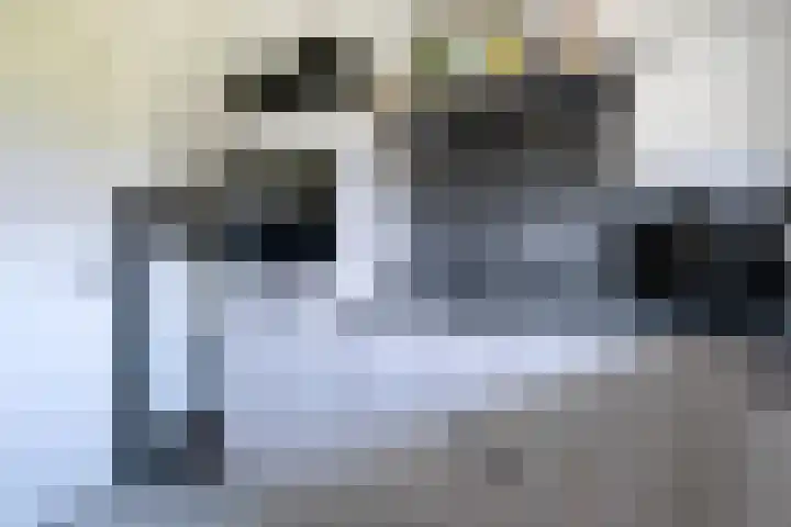 Sabotagelaan 74 Groningen thumbnail 15