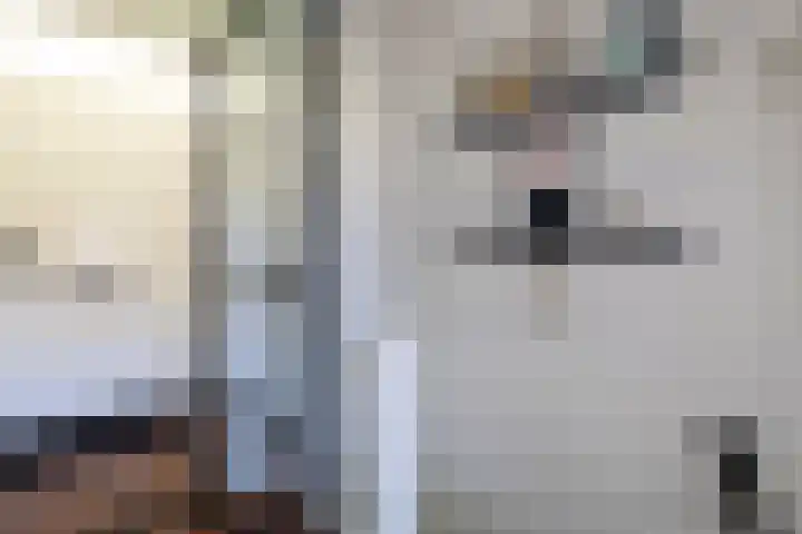 Sabotagelaan 74 Groningen thumbnail 17