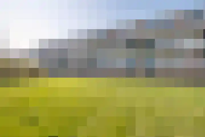Sabotagelaan 74 Groningen thumbnail 31