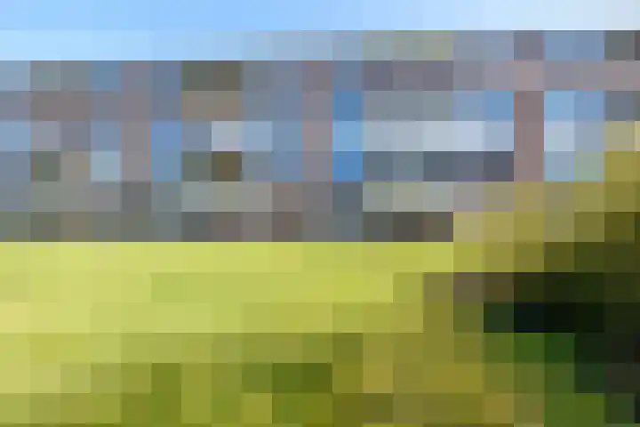 Sabotagelaan 74 Groningen thumbnail 32