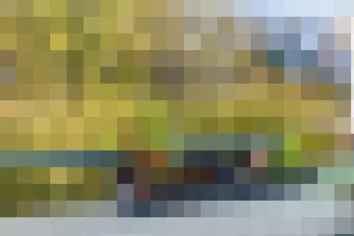 Sabotagelaan 80 Groningen thumbnail 12