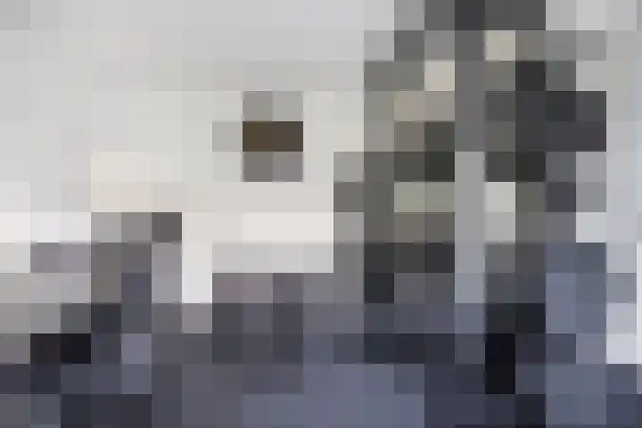 Sabotagelaan 80 Groningen thumbnail 26
