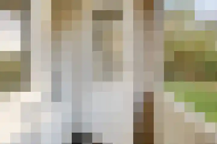 Sabotagelaan 80 Groningen thumbnail 34
