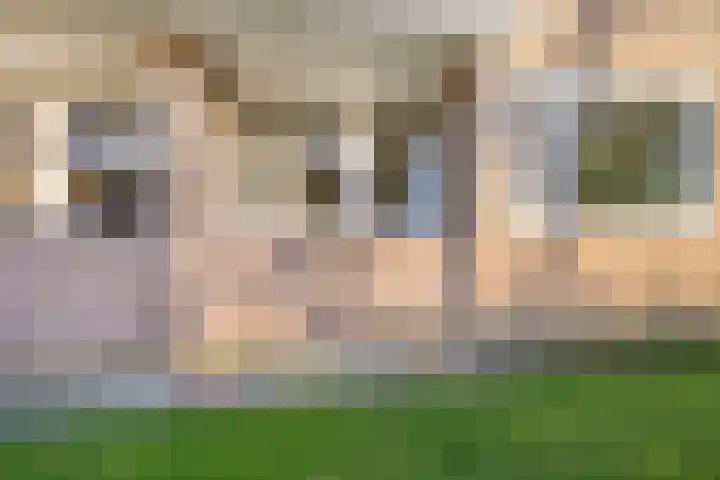 Sabotagelaan 80 Groningen thumbnail 35
