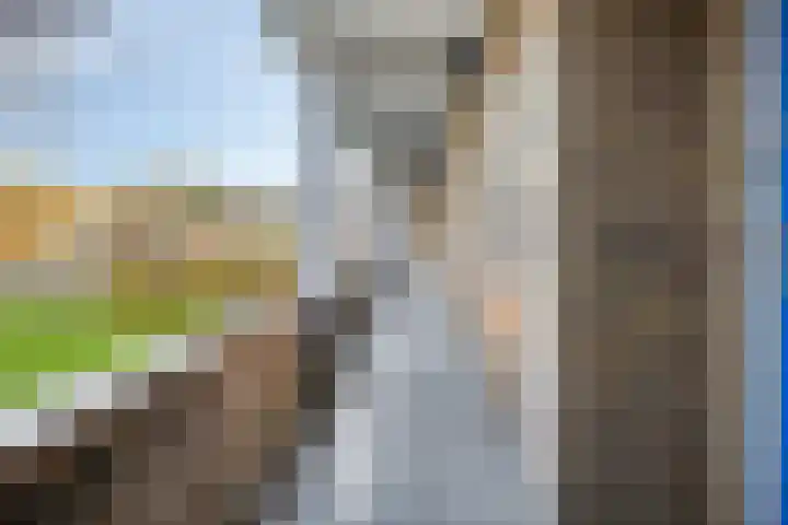 Sabotagelaan 80 Groningen thumbnail 44