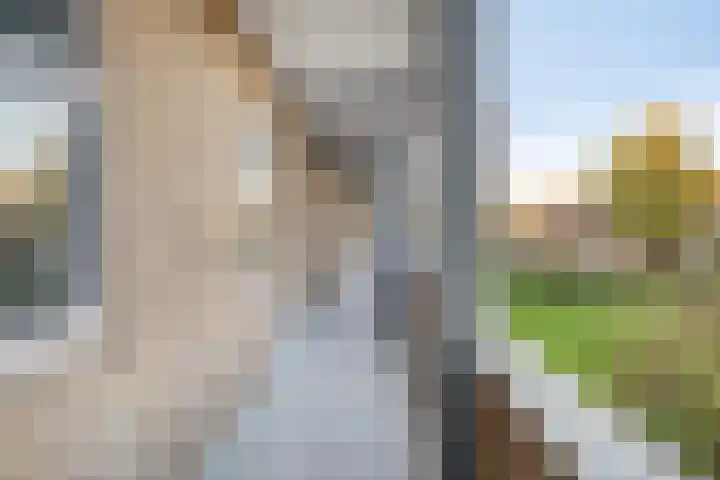 Sabotagelaan 80 Groningen thumbnail 45