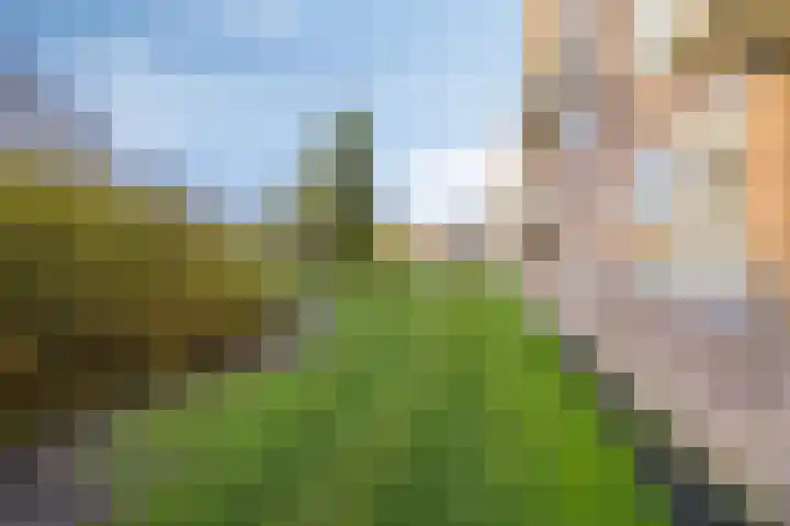 Sabotagelaan 80 Groningen thumbnail 46