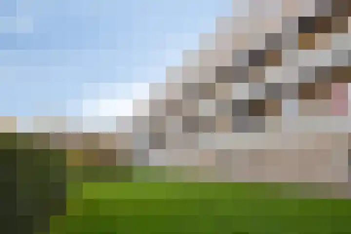 Sabotagelaan 80 Groningen thumbnail 48