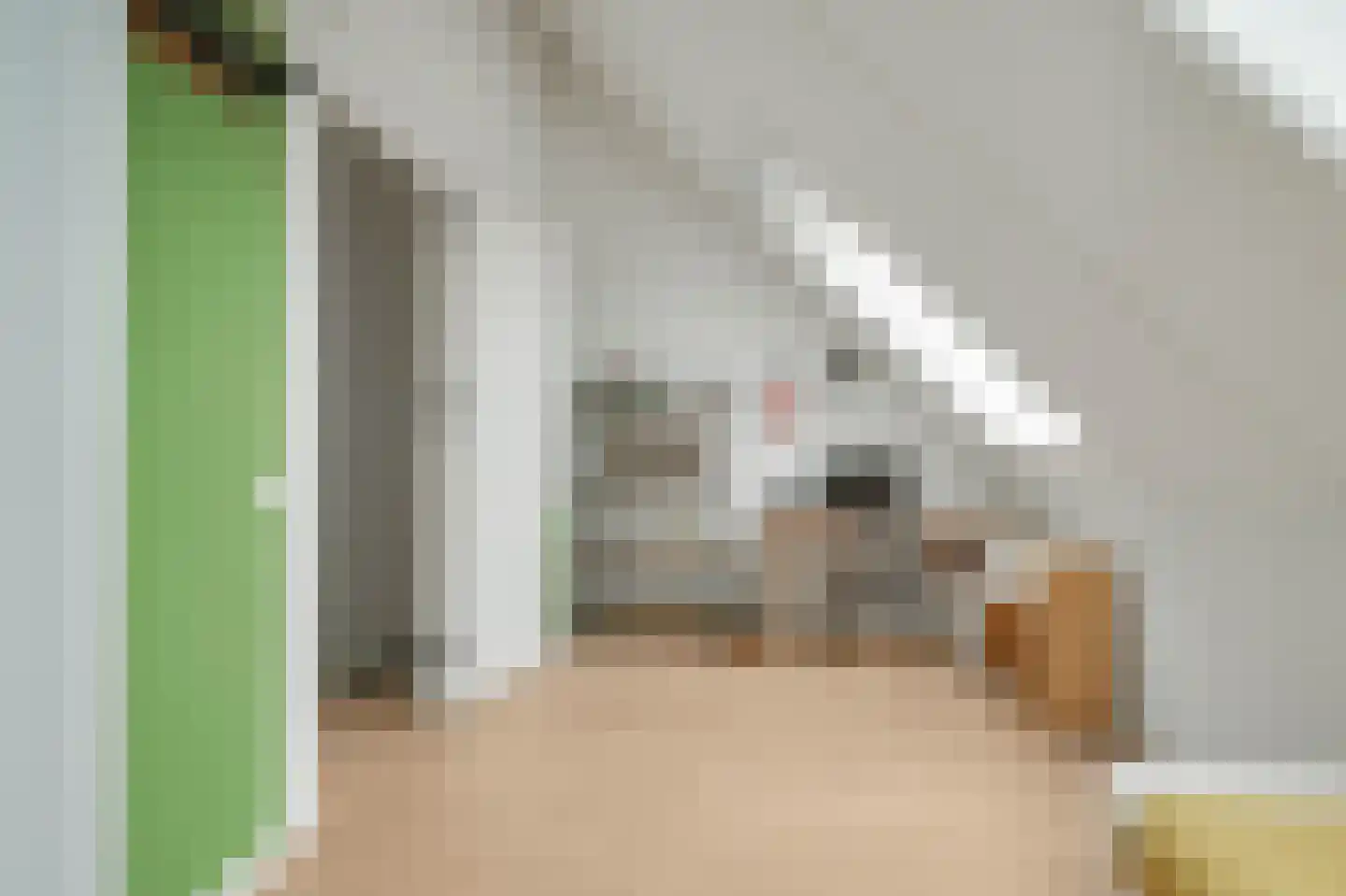 Sacha Bulthuispad 5 Berkel en Rodenrijs thumbnail 31
