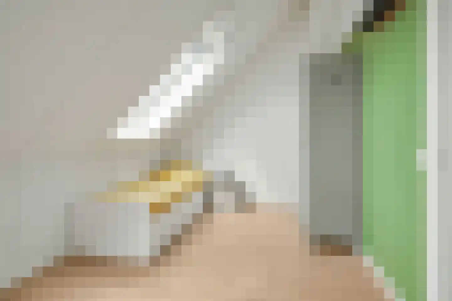 Sacha Bulthuispad 5 Berkel en Rodenrijs thumbnail 32