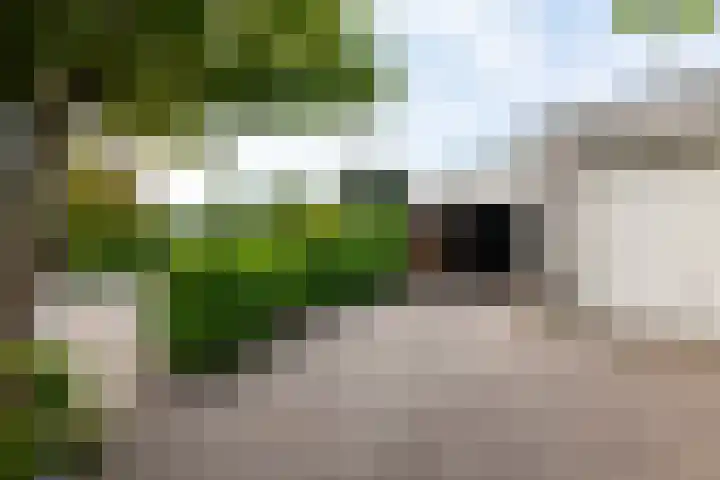 Sacharovlaan 66 Hellevoetsluis thumbnail 10