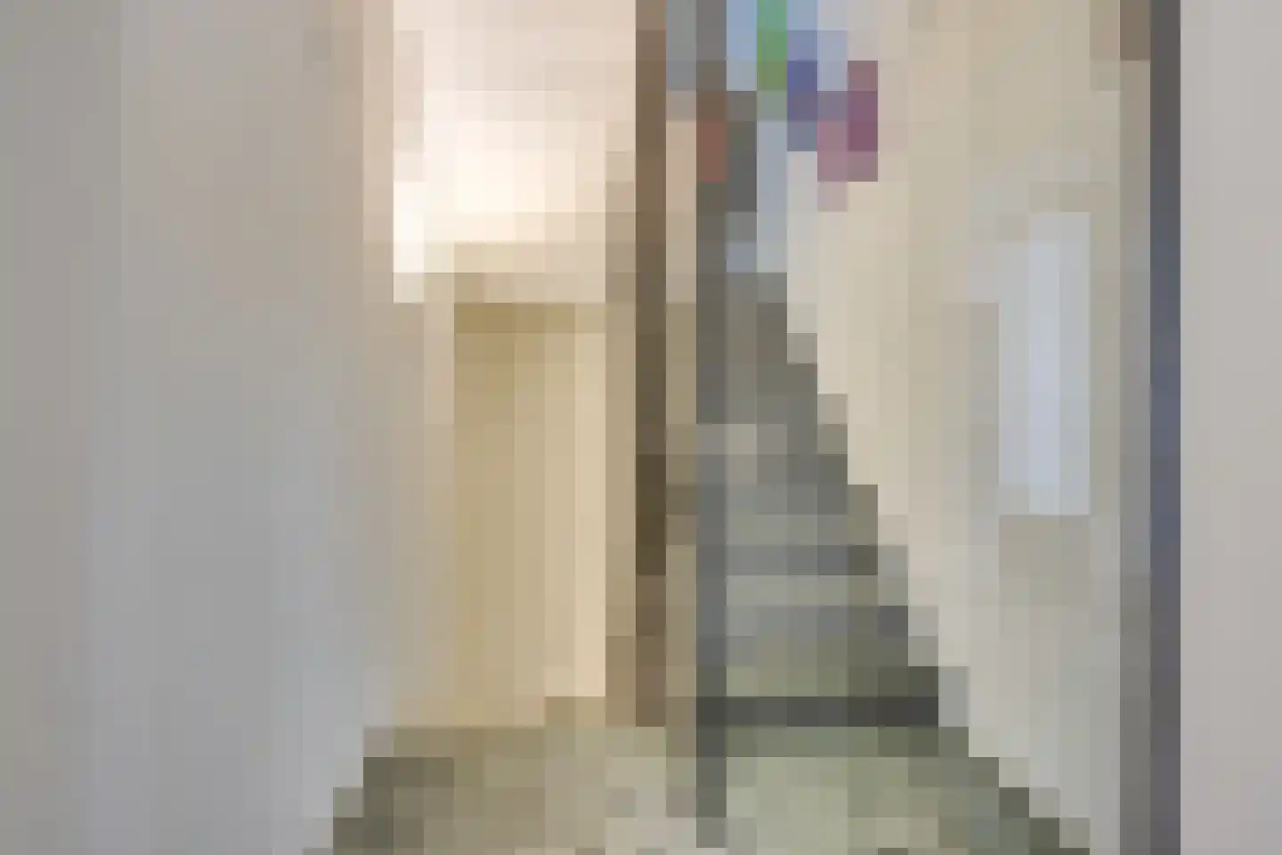 Sacramentsweg 9 C Uden thumbnail 10