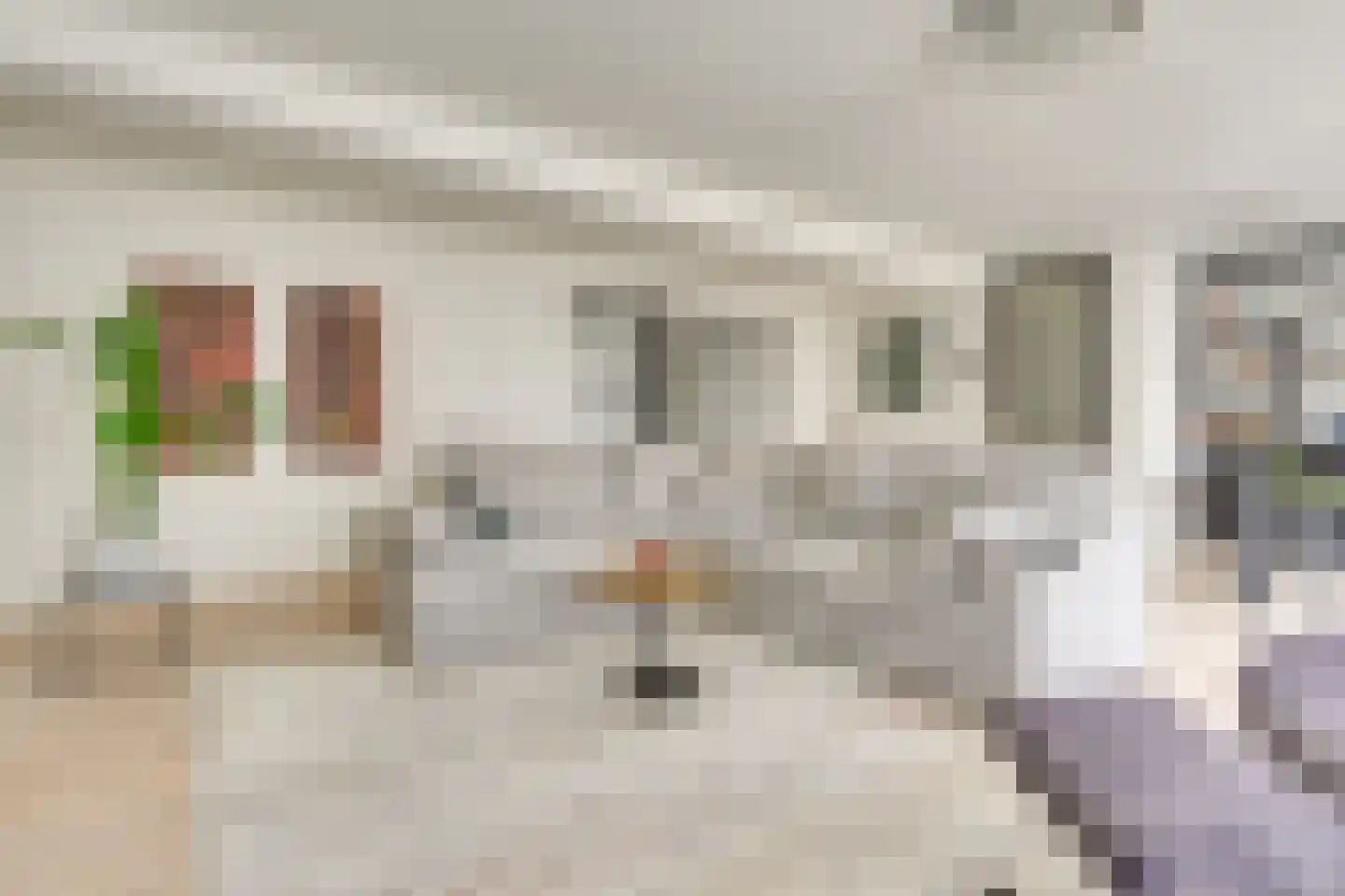 Sacramentsweg 9 C Uden thumbnail 16
