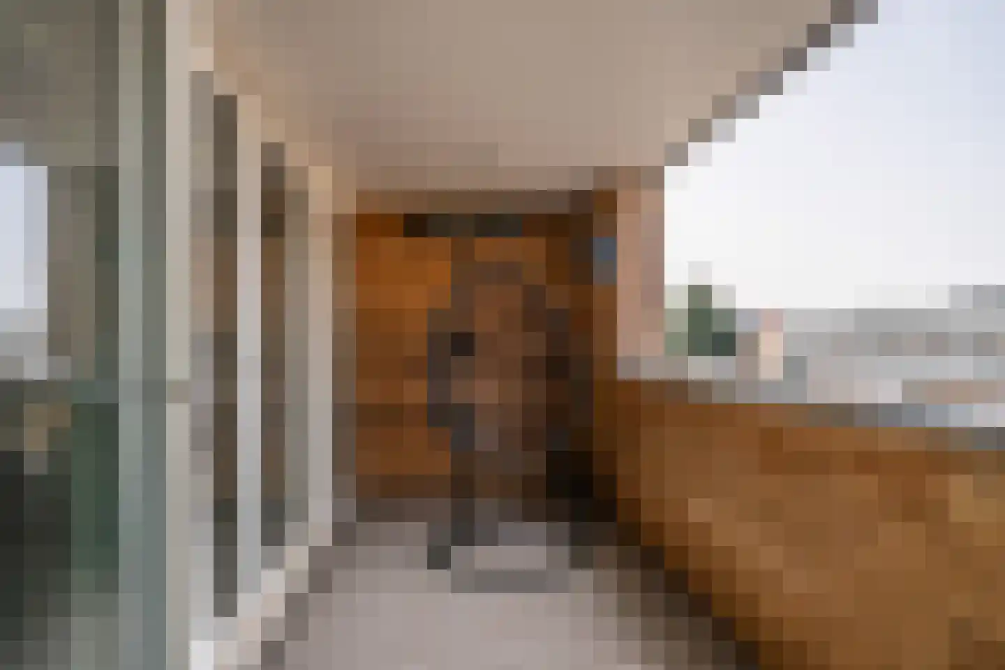 Sacramentsweg 9 C Uden thumbnail 28