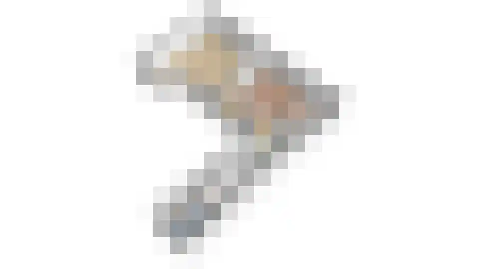 Sacramentsweg 9 C Uden thumbnail 41