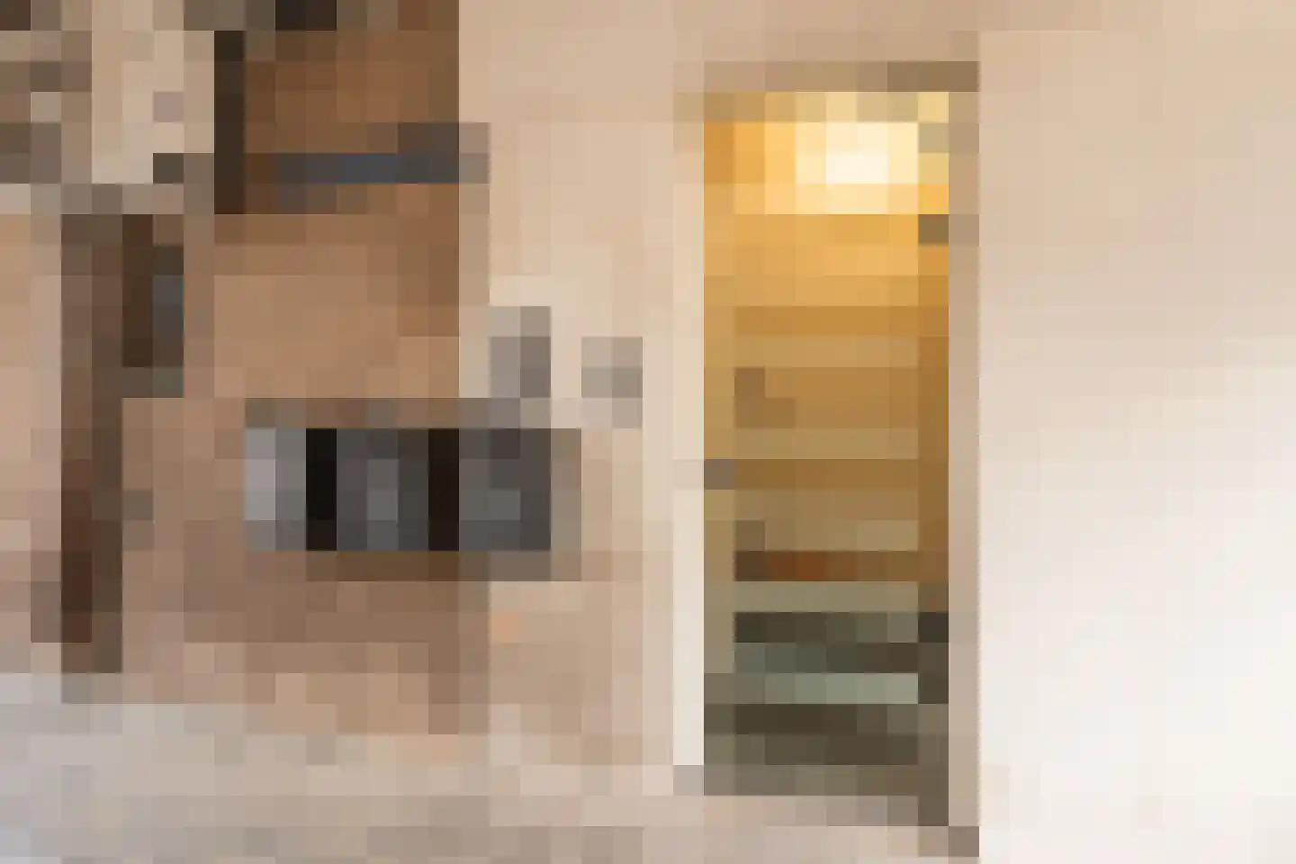 Sacramentsweg 9 C Uden thumbnail 8