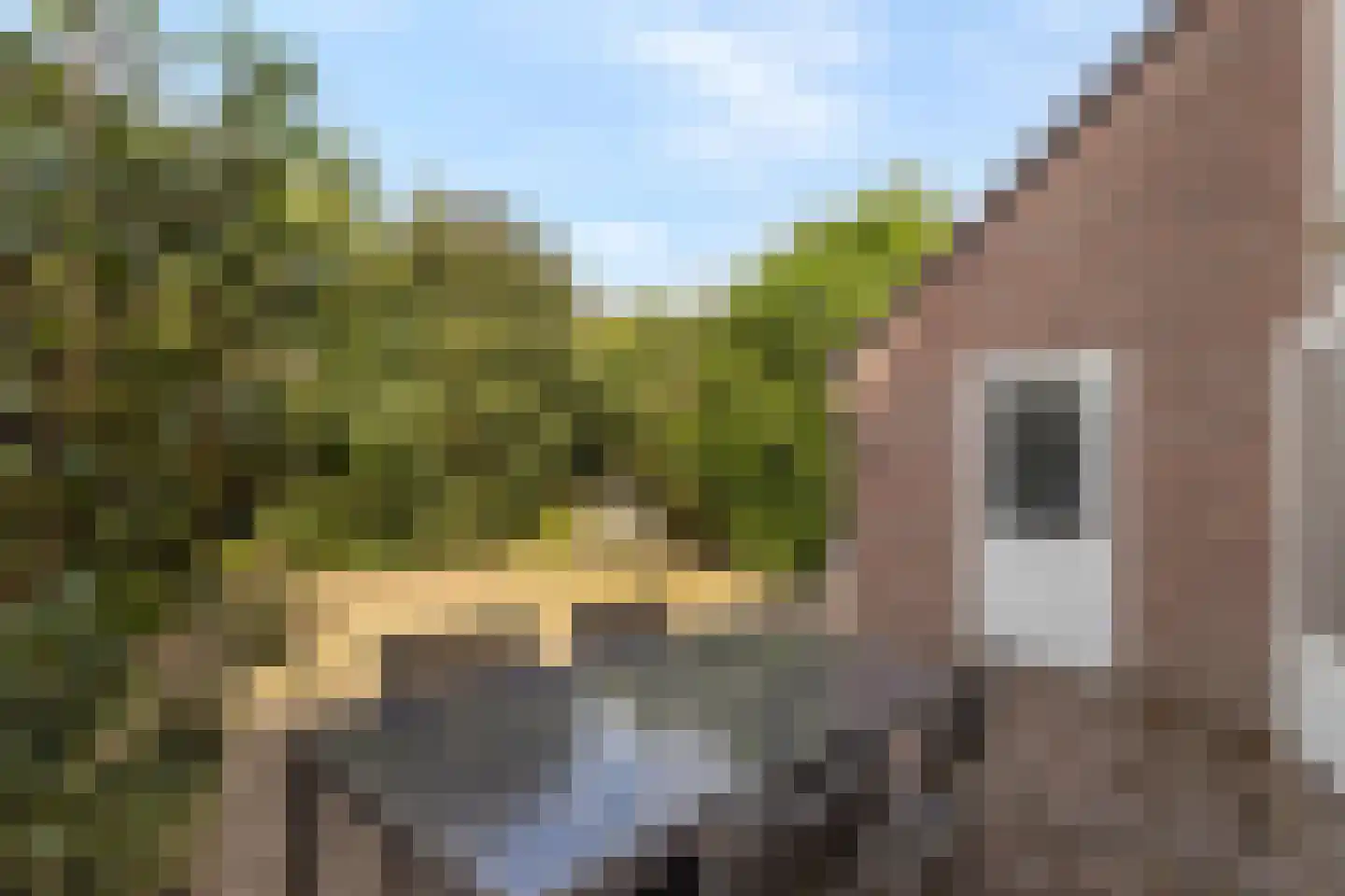 Sadatdomein 12 Maastricht thumbnail 16