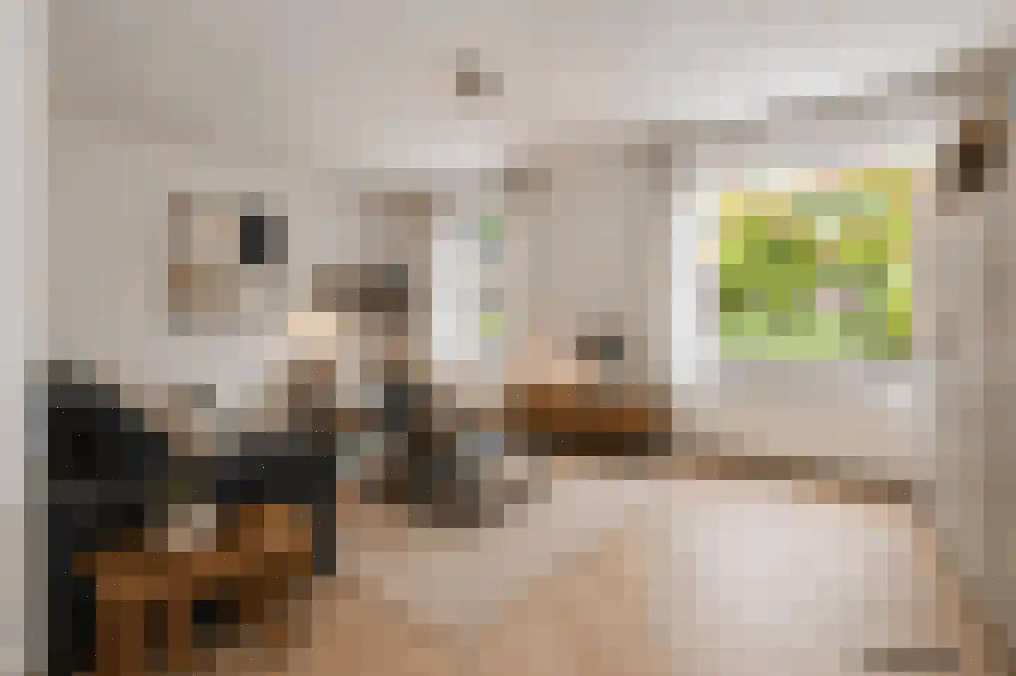 Sadatdomein 12 Maastricht thumbnail 5
