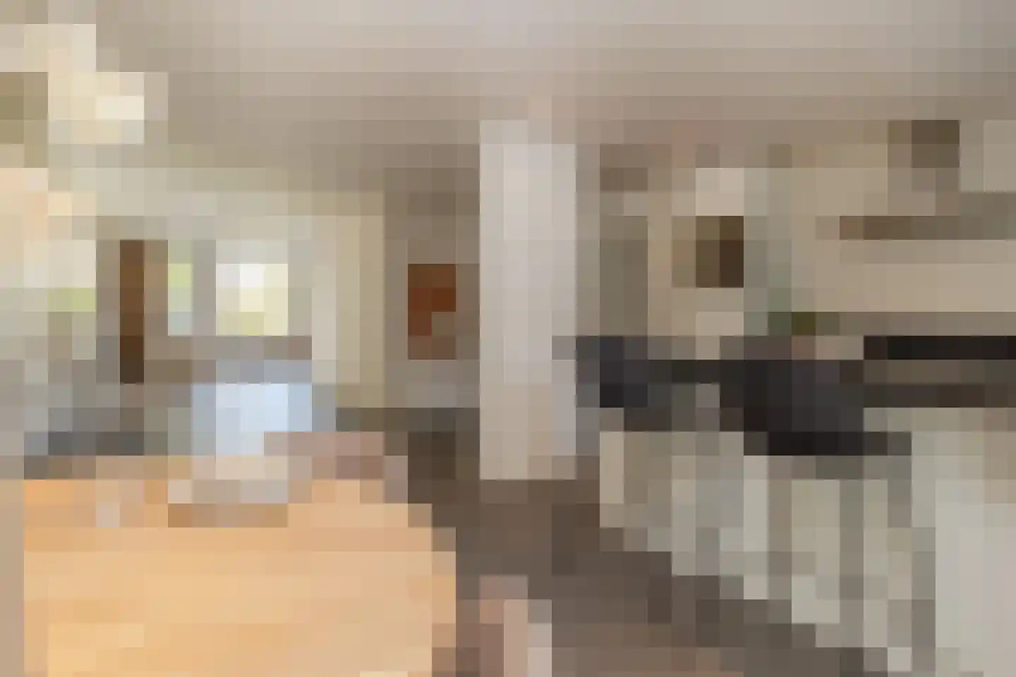 Sadatdomein 7 Maastricht thumbnail 12