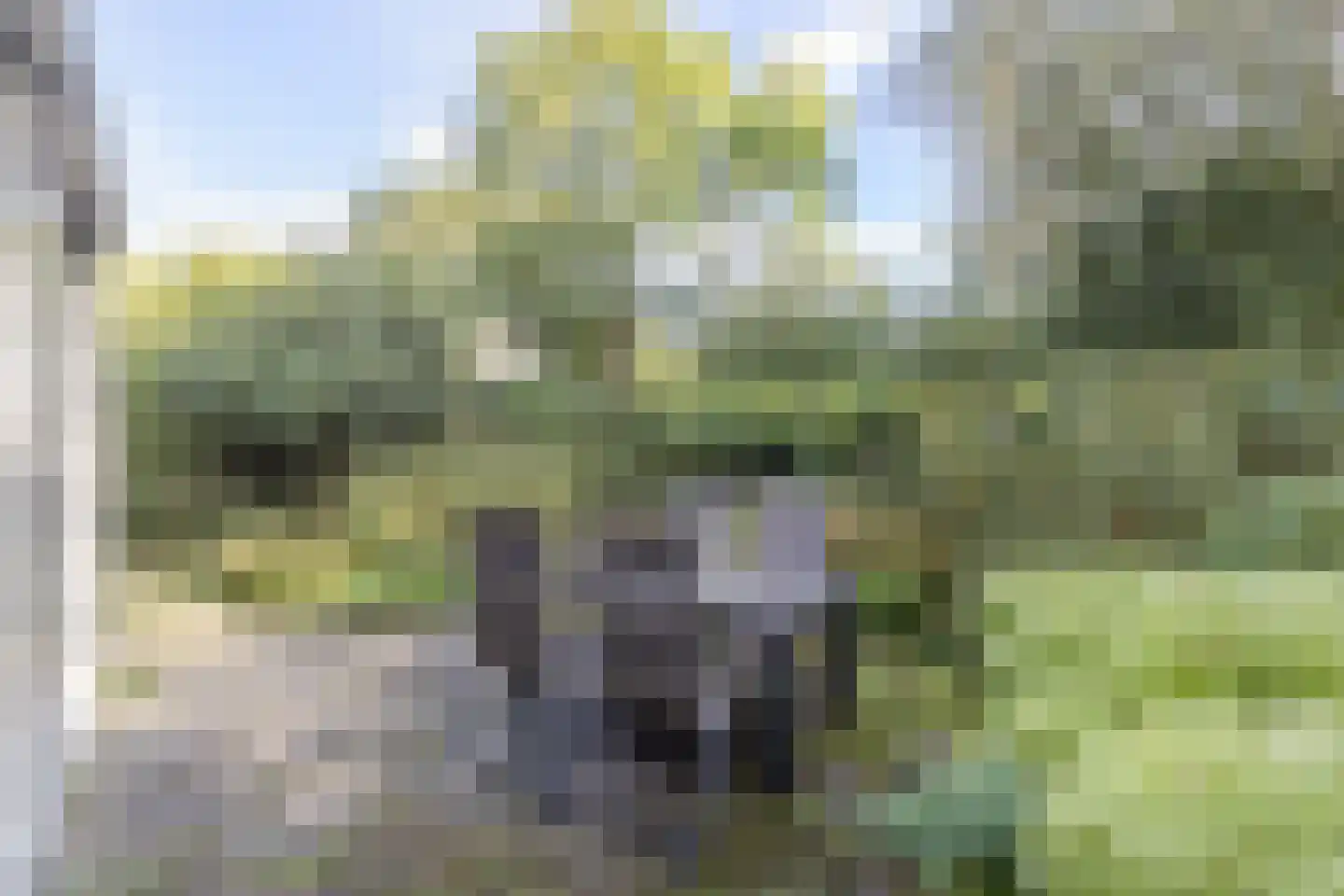 Sadatdomein 7 Maastricht thumbnail 6