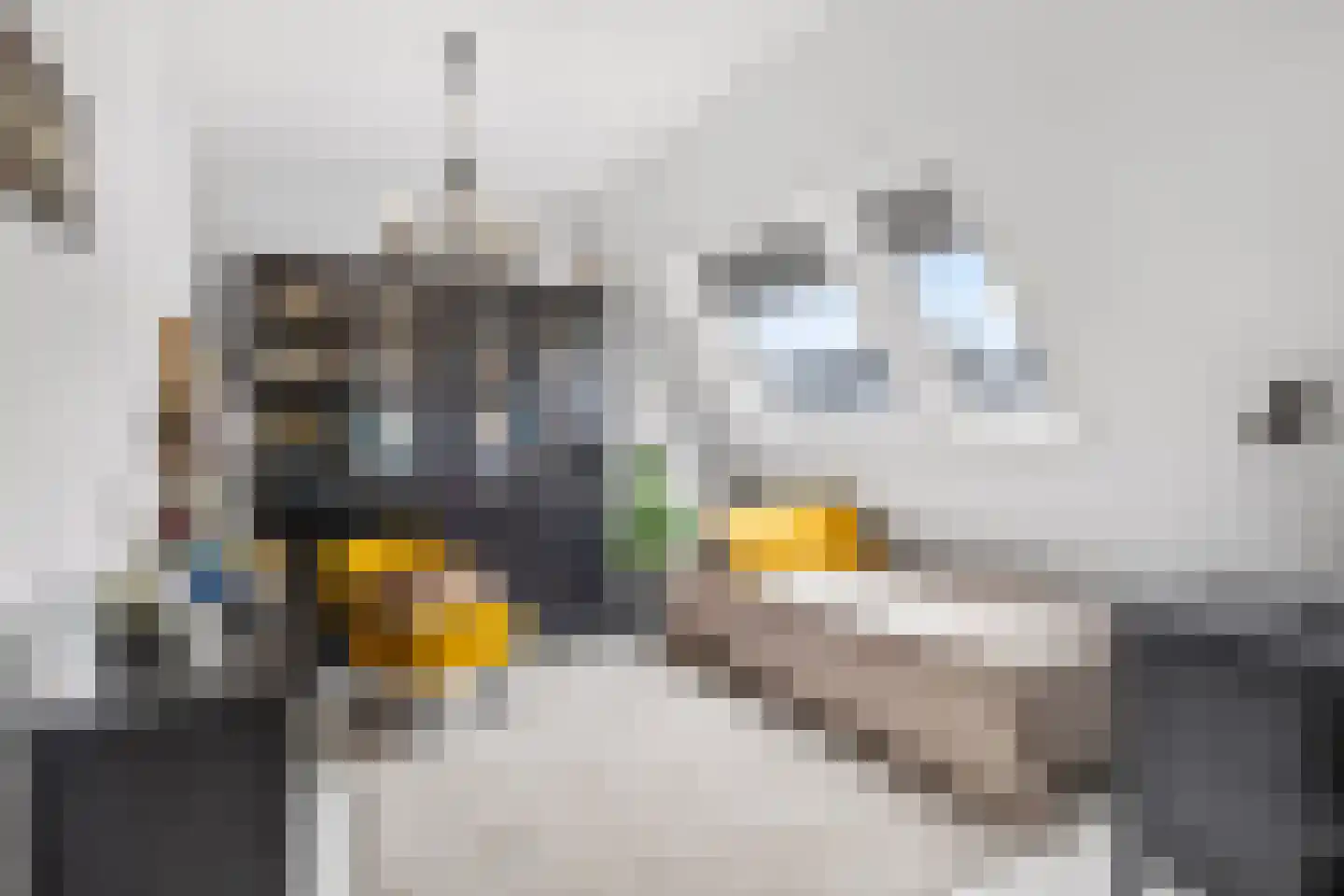 Sadatsingel 2 Ede thumbnail 32