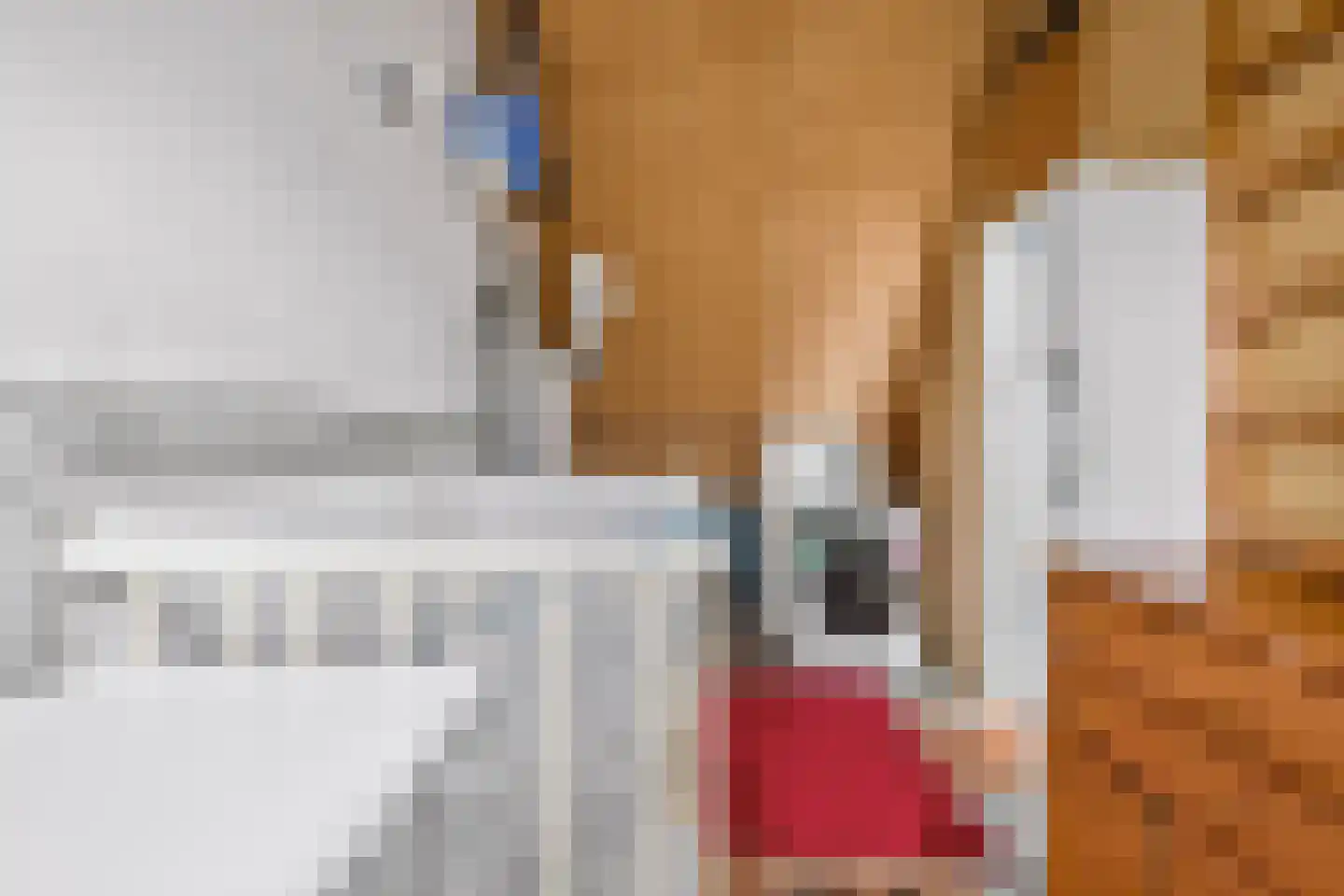 Sadatsingel 2 Ede thumbnail 37