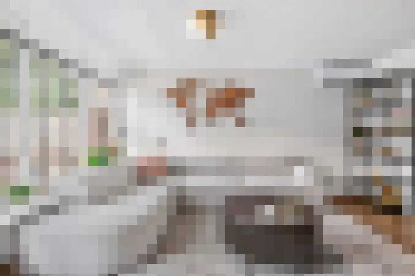 Sadatsingel 21 Ede thumbnail 11