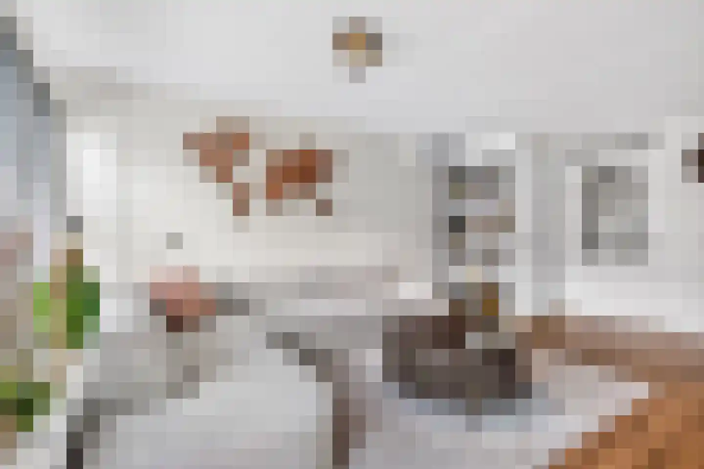 Sadatsingel 21 Ede thumbnail 12