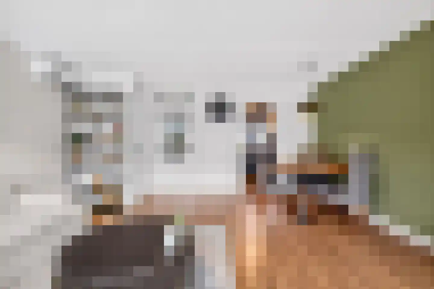 Sadatsingel 21 Ede thumbnail 13
