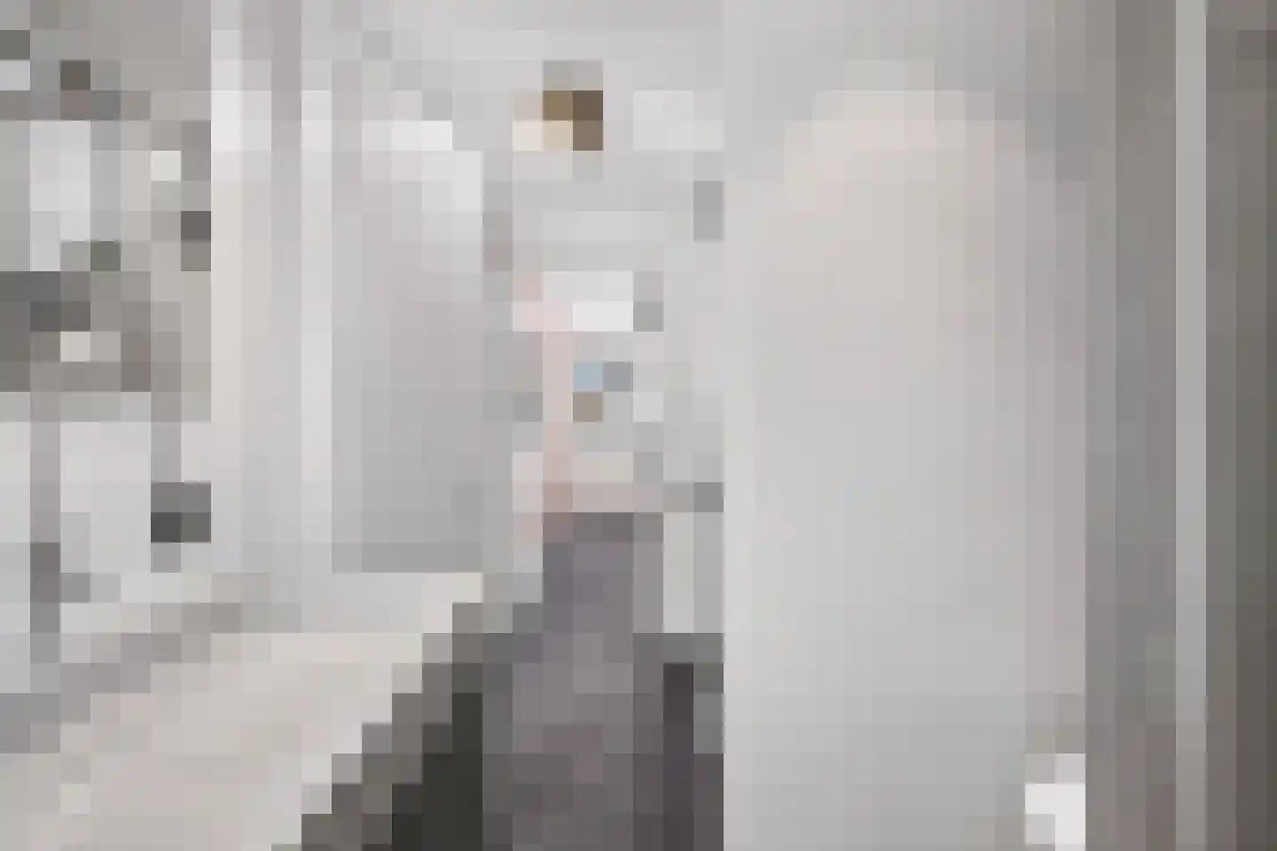 Sadatsingel 21 Ede thumbnail 30