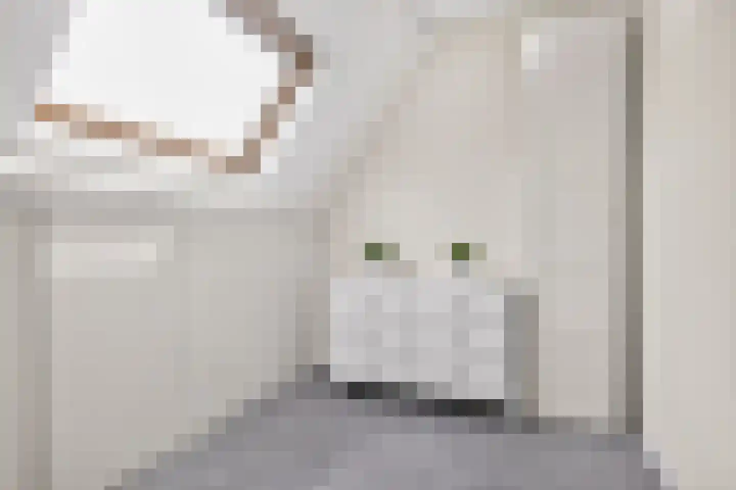 Sadatsingel 21 Ede thumbnail 34