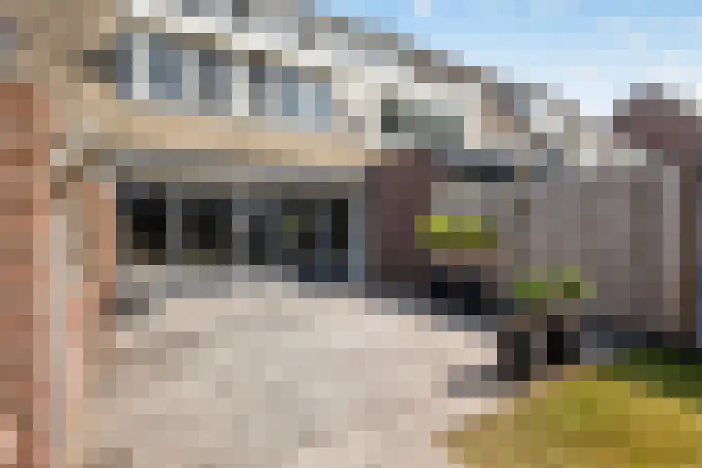 Sadatsingel 21 Ede thumbnail 45