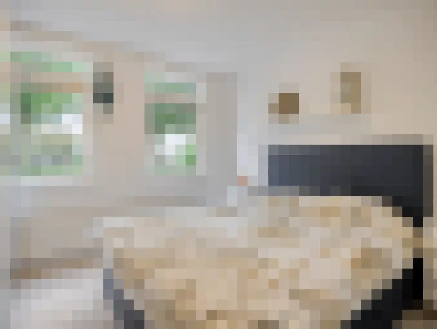 Sadatsingel 41 Ede thumbnail 17