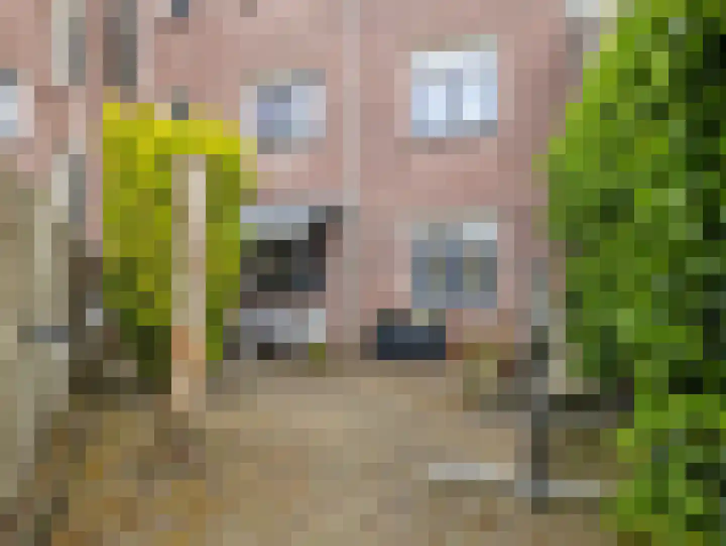 Sadatsingel 41 Ede thumbnail 29