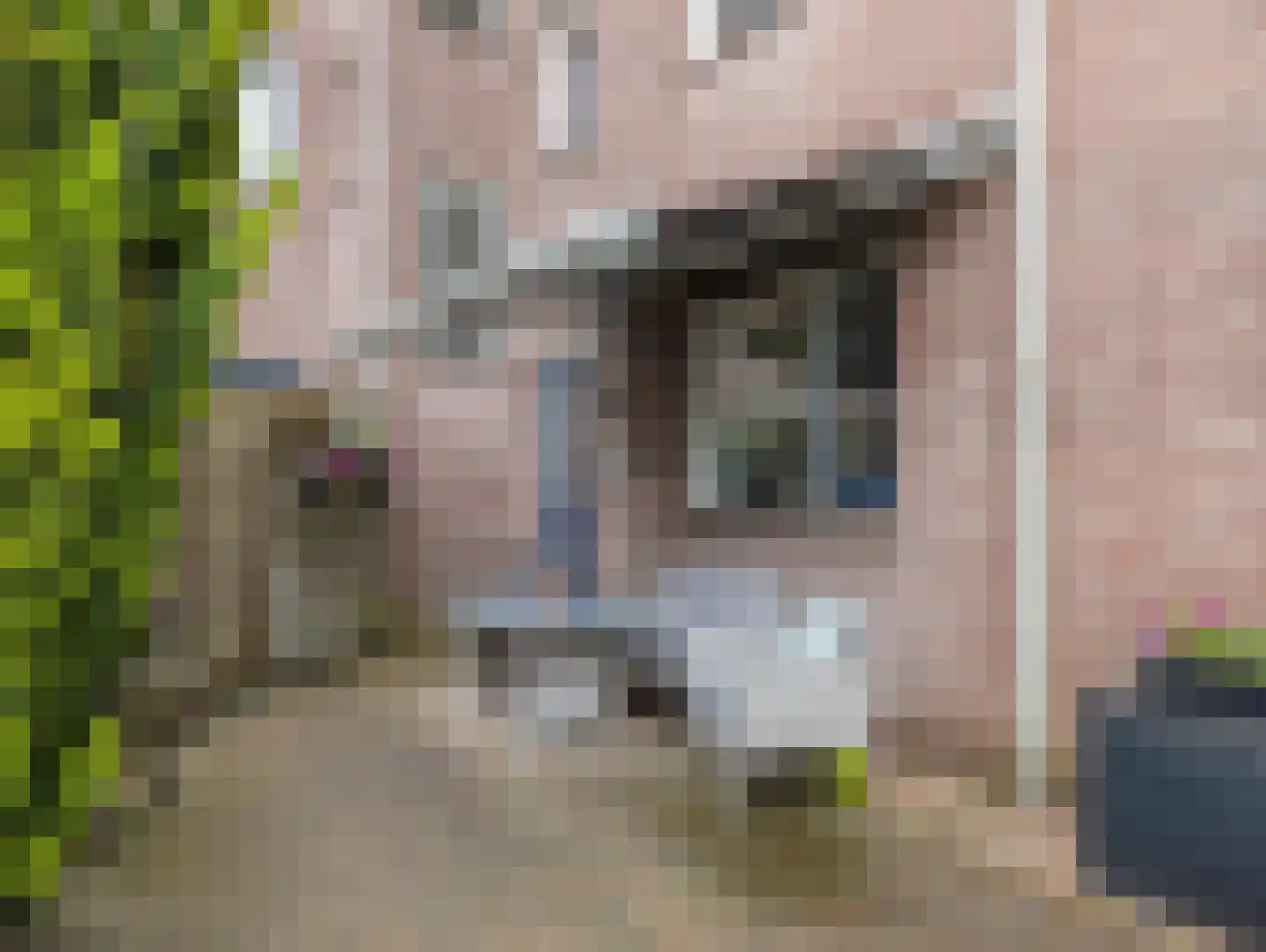 Sadatsingel 41 Ede thumbnail 30