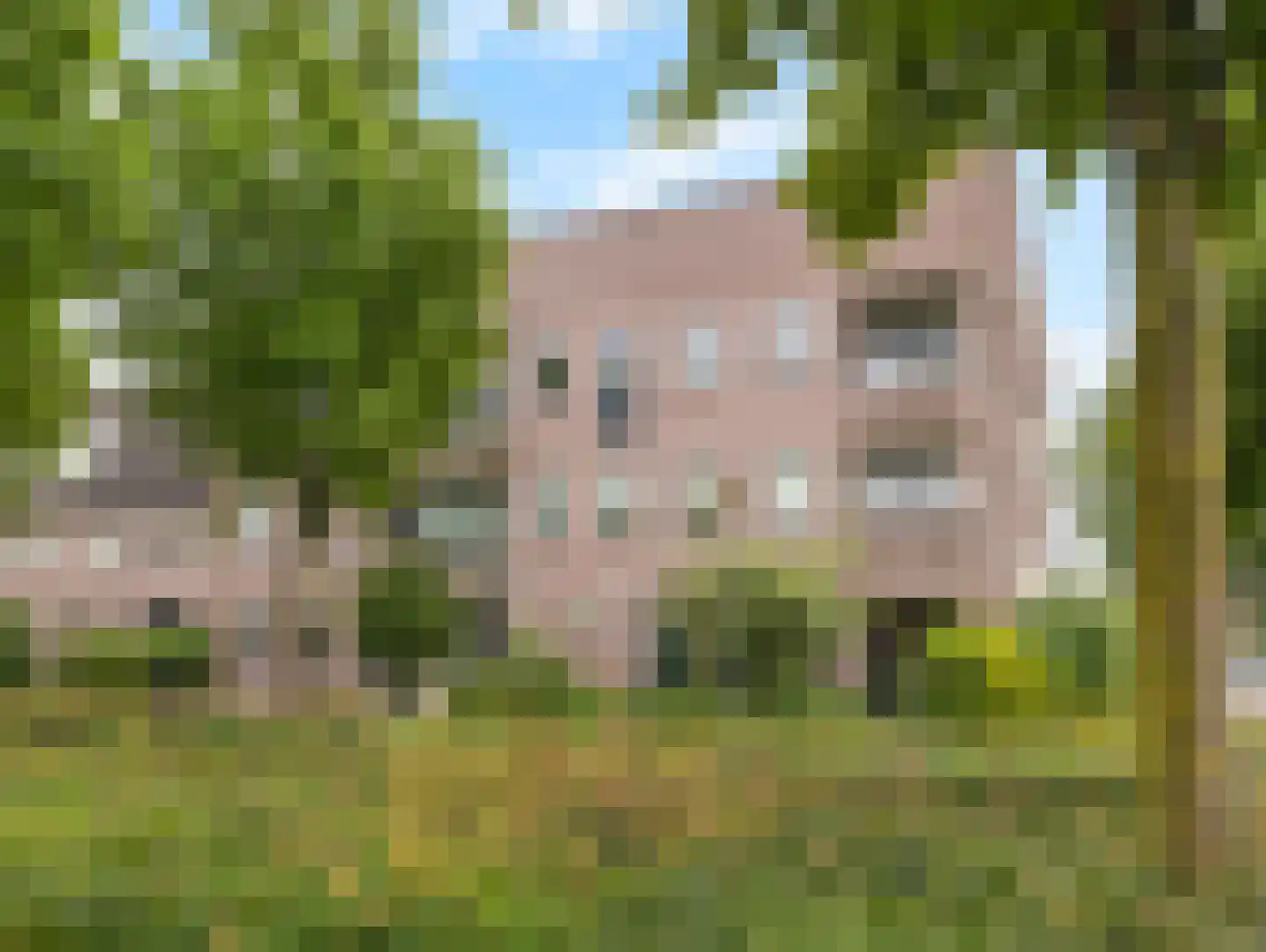 Sadatsingel 41 Ede thumbnail 31