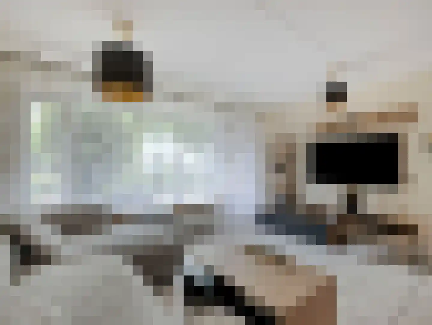 Sadatsingel 41 Ede thumbnail 9