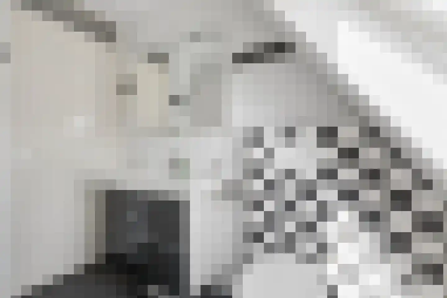 Sadatsingel 87 Ede thumbnail 21