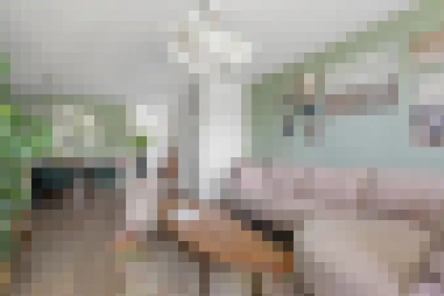 Sadatsingel 87 Ede thumbnail 7