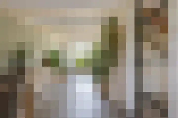 Sadatstraat 12 Zetten thumbnail 12