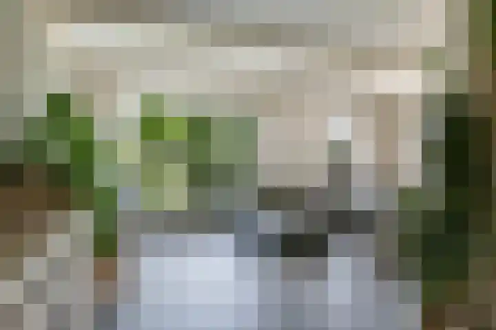 Sadatstraat 12 Zetten thumbnail 13