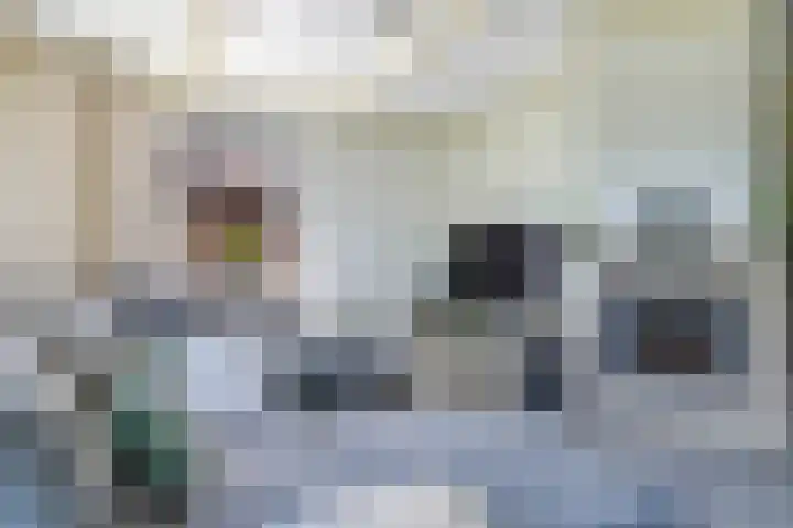 Sadatstraat 12 Zetten thumbnail 15
