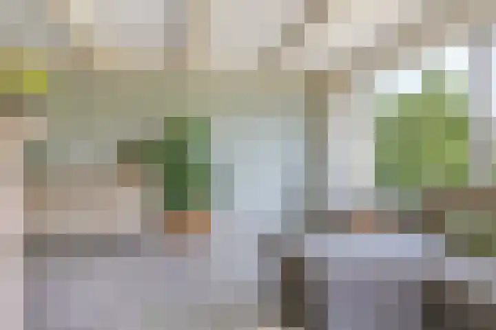 Sadatstraat 12 Zetten thumbnail 16