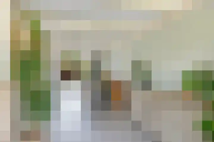 Sadatstraat 12 Zetten thumbnail 18